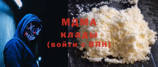 индика Арсеньев