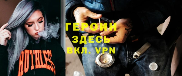 индика Арсеньев