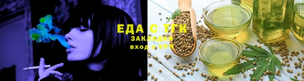 индика Арсеньев