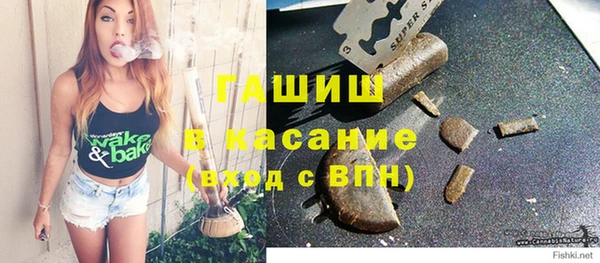 индика Арсеньев