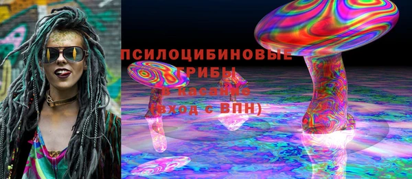 индика Армянск