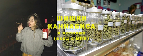 индика Армянск